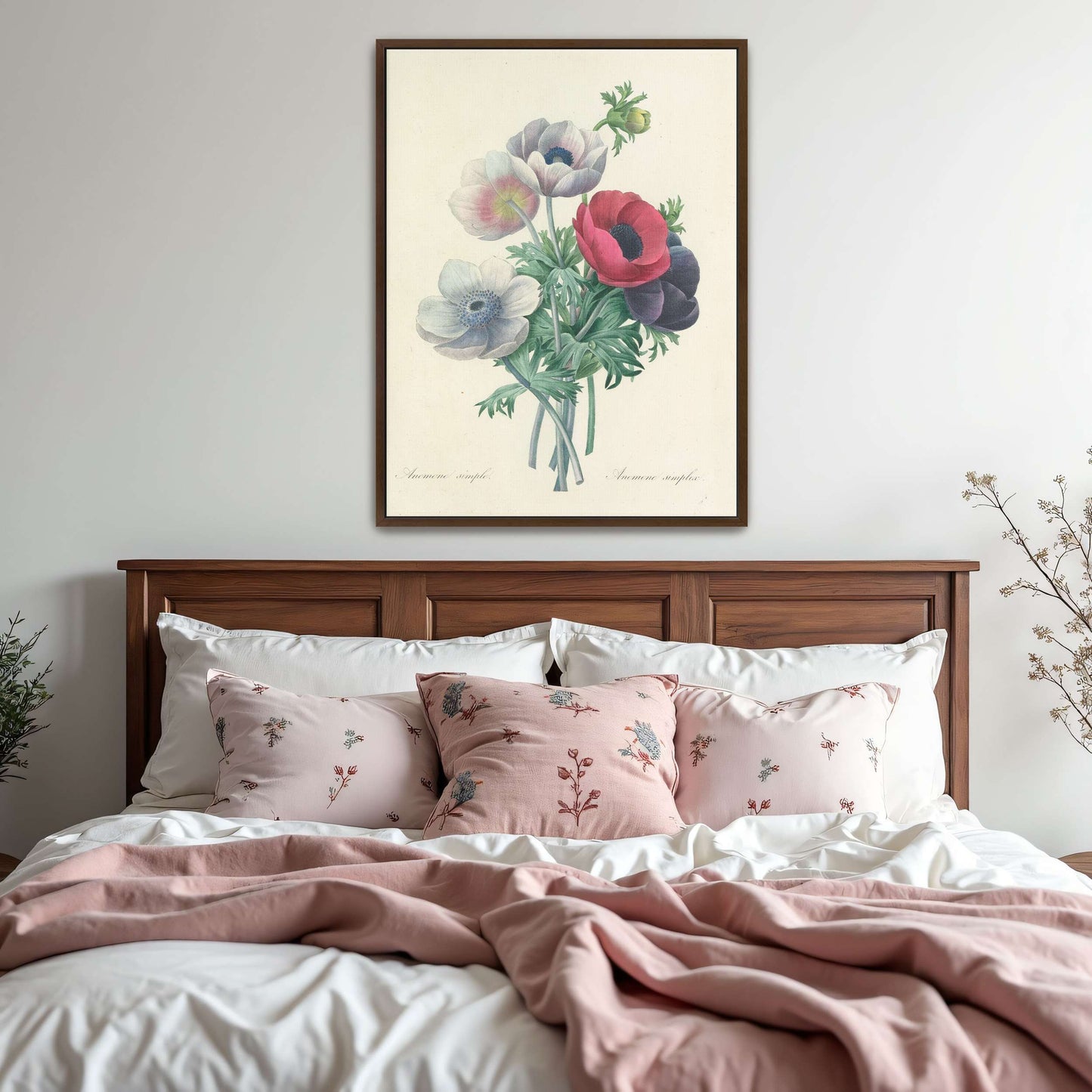 Anemone flowers botanical art by Pierre Joseph Redouté