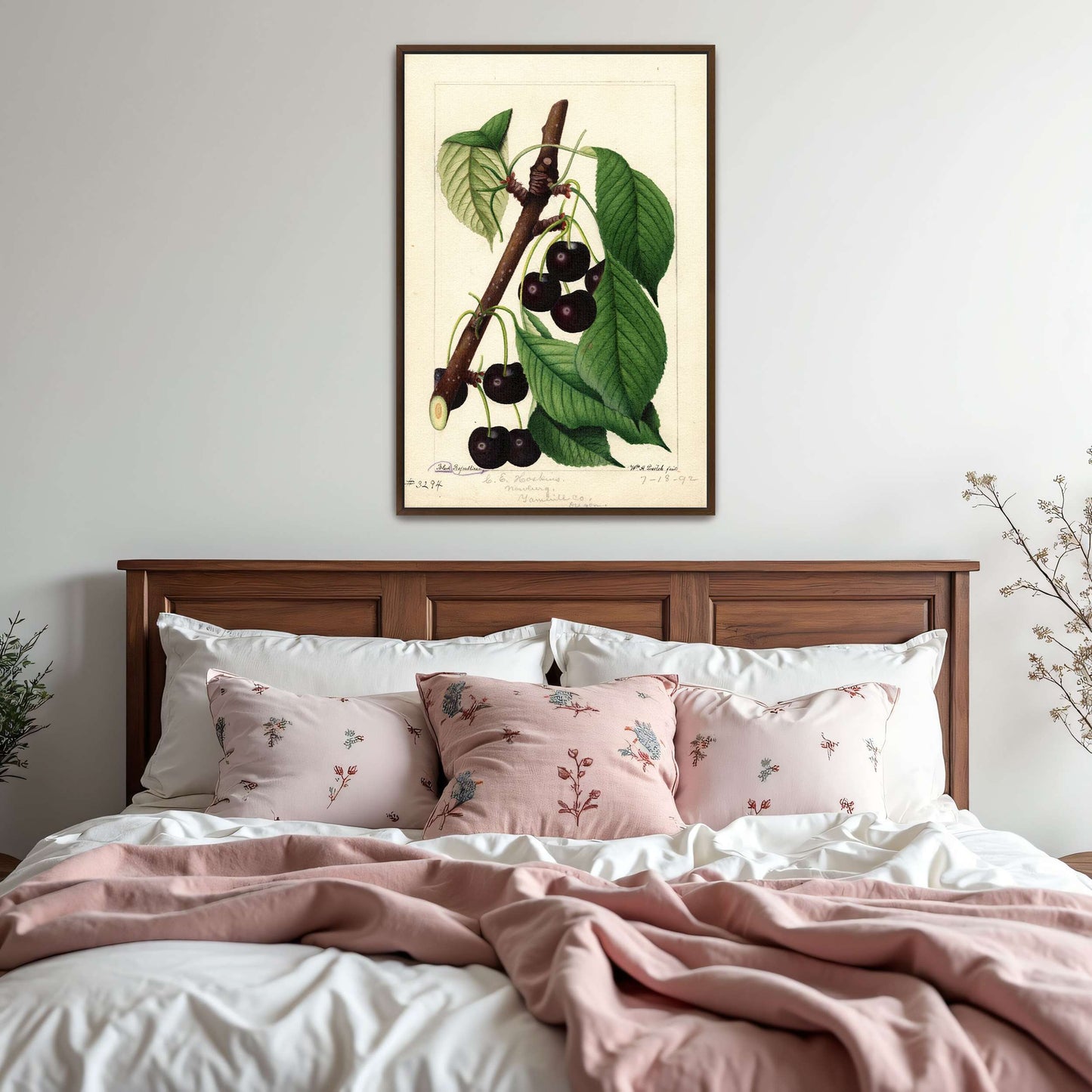 Black Republican Cherries by William Henry Prestele