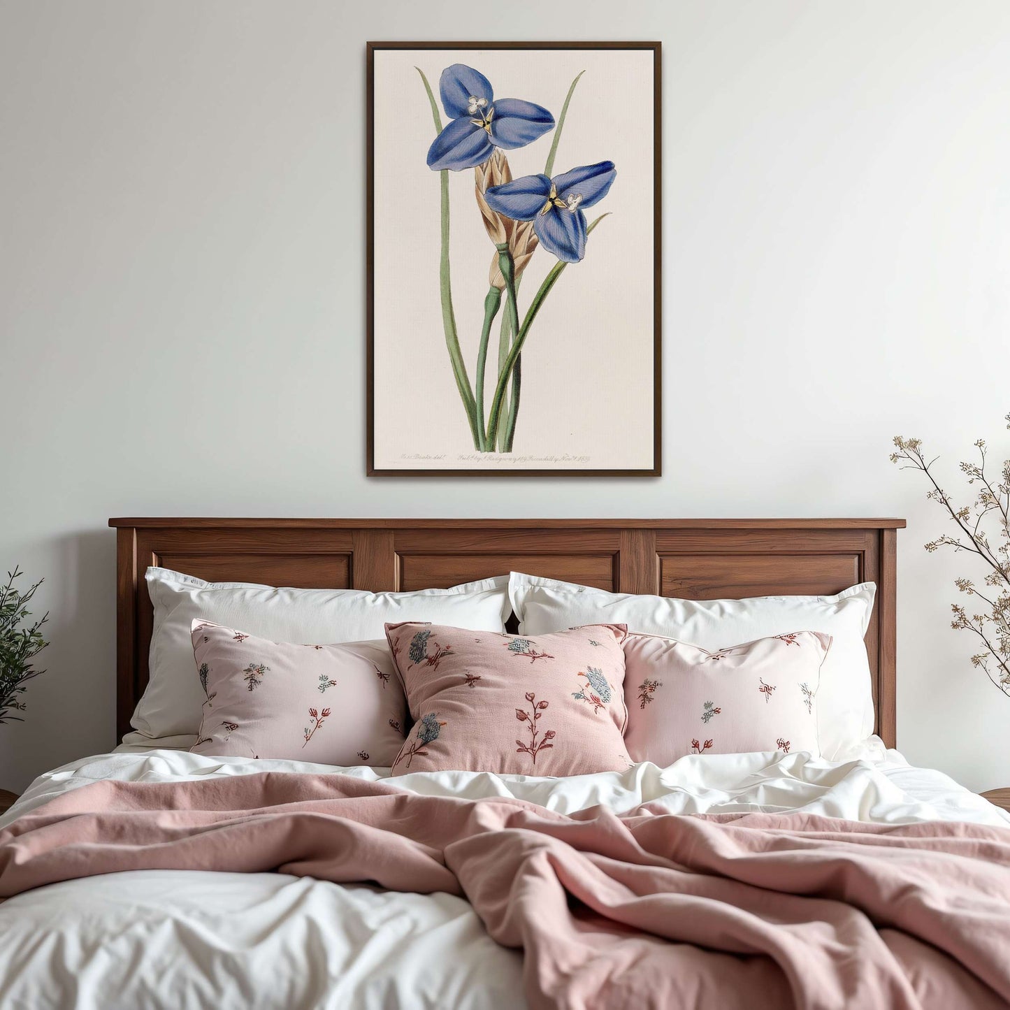 Blue flowers botanical illustration by Sydenham Edwards