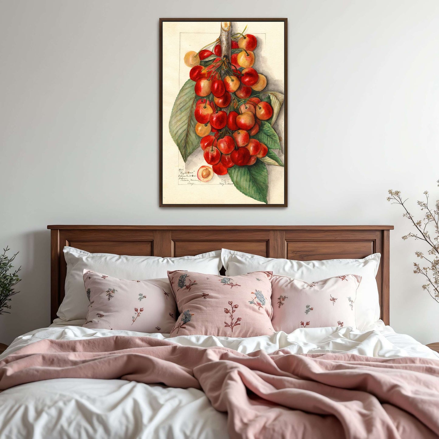 Watercolor painting of cherries by Mary Daisy Arnold
