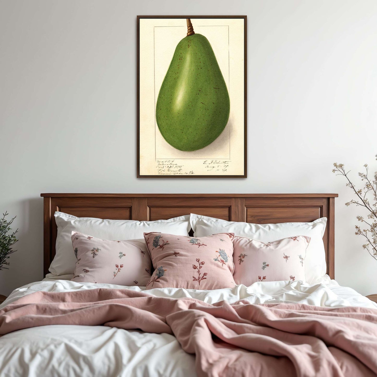 Botanical illustration of avocado by Ellen Isham Schutt
