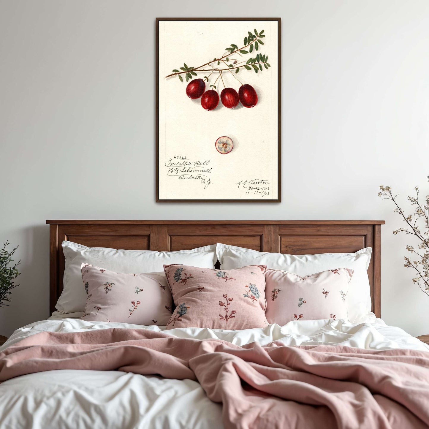 Cranberries on branch by Amanda Almira Newton