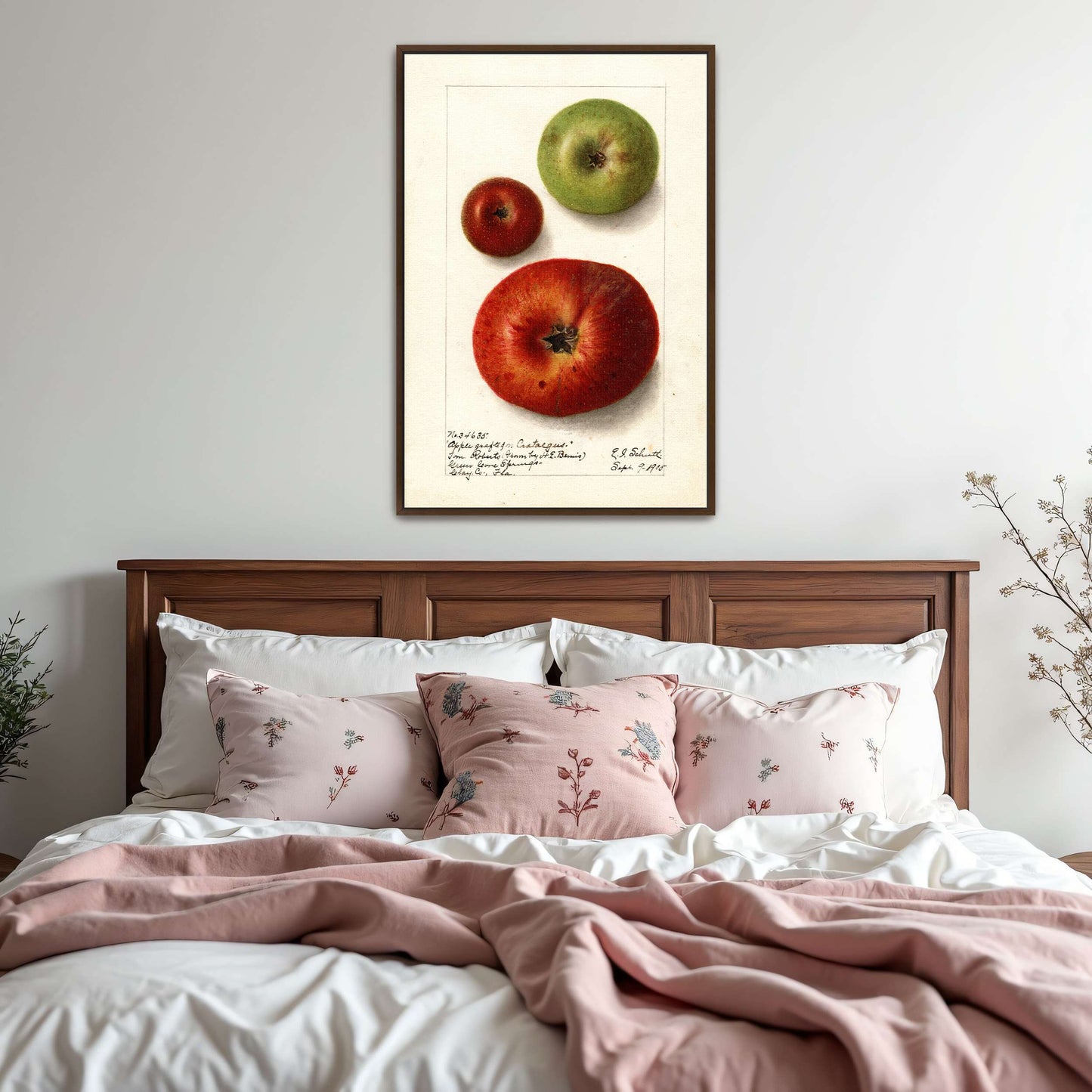 Three apples watercolor painting by Ellen Isham Schutt