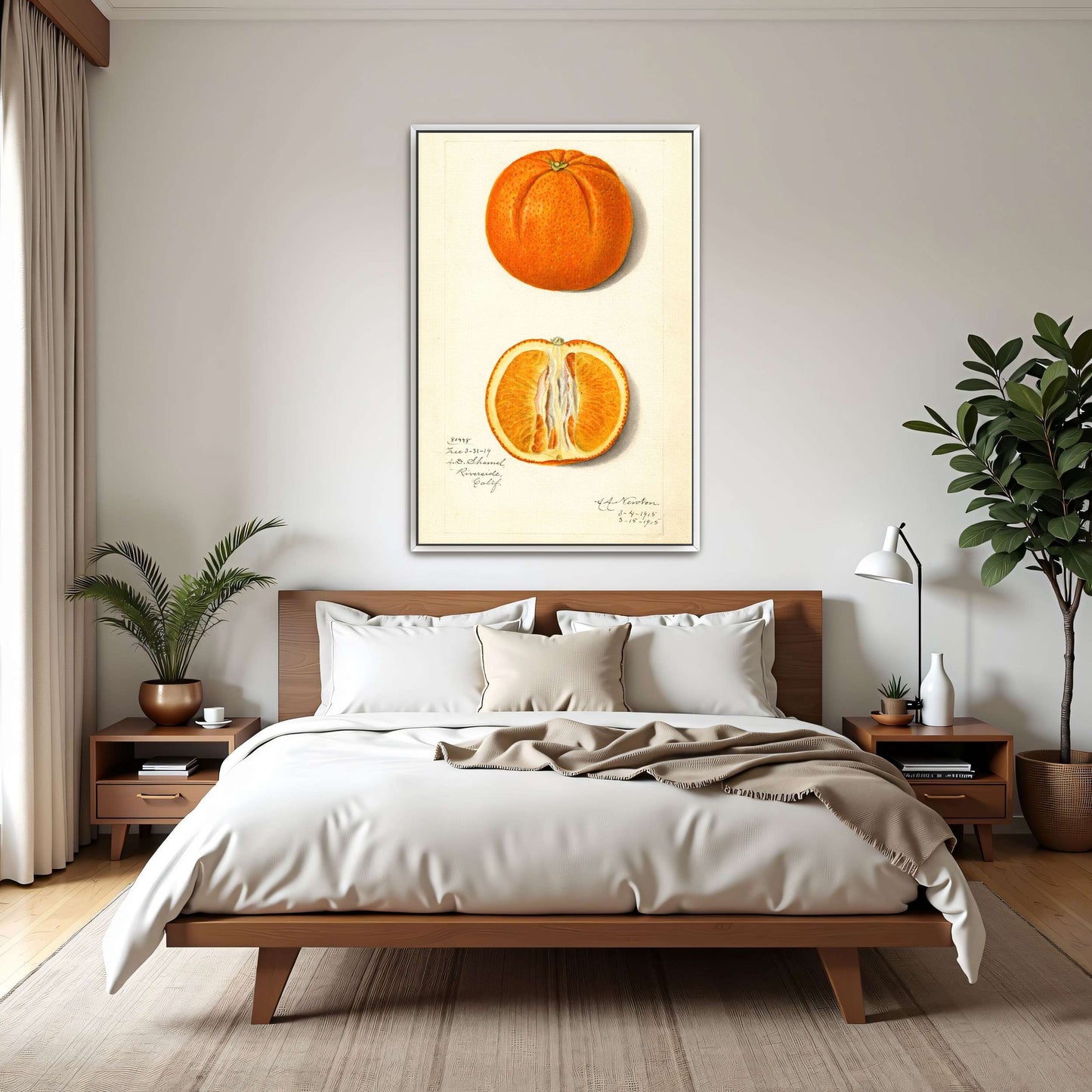 Orange fruit watercolor painting by Amanda Almira Newton