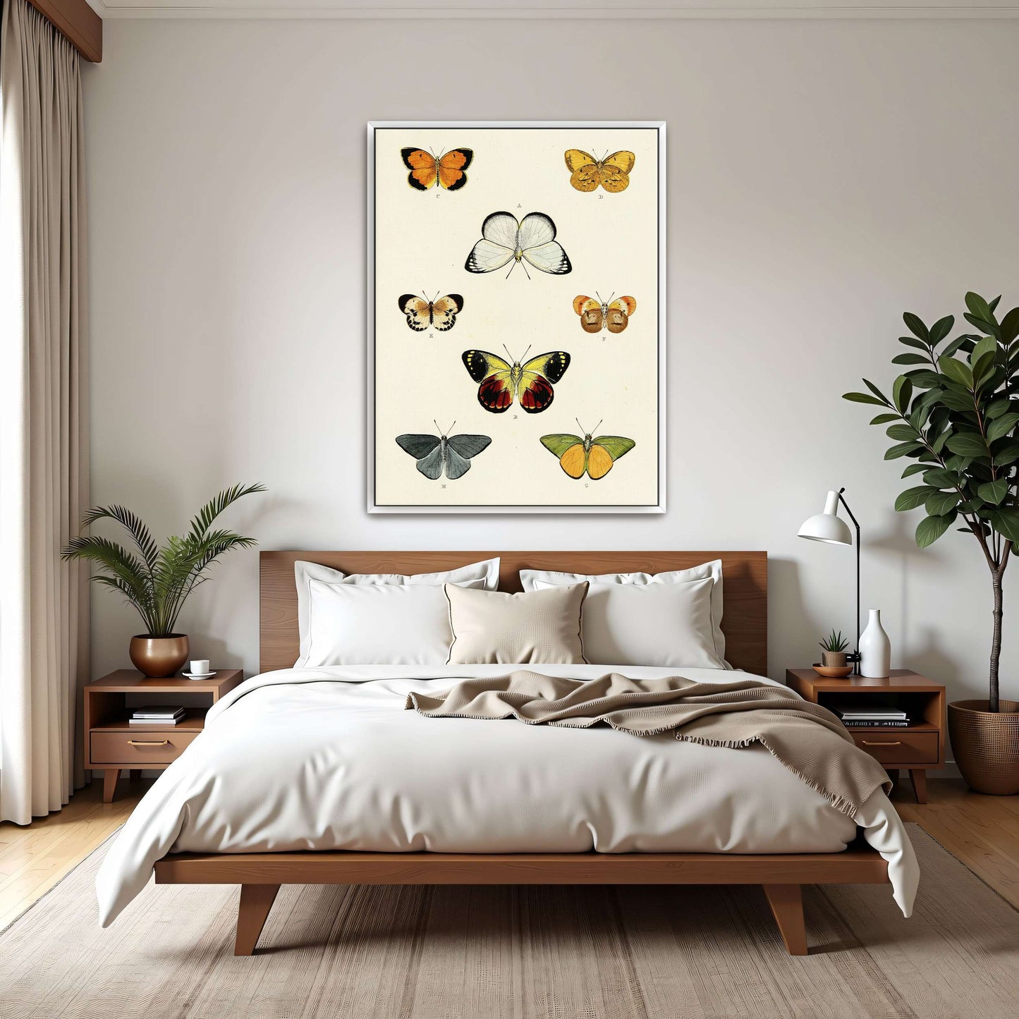 Collection of butterflies on a white page by Pieter Cramer