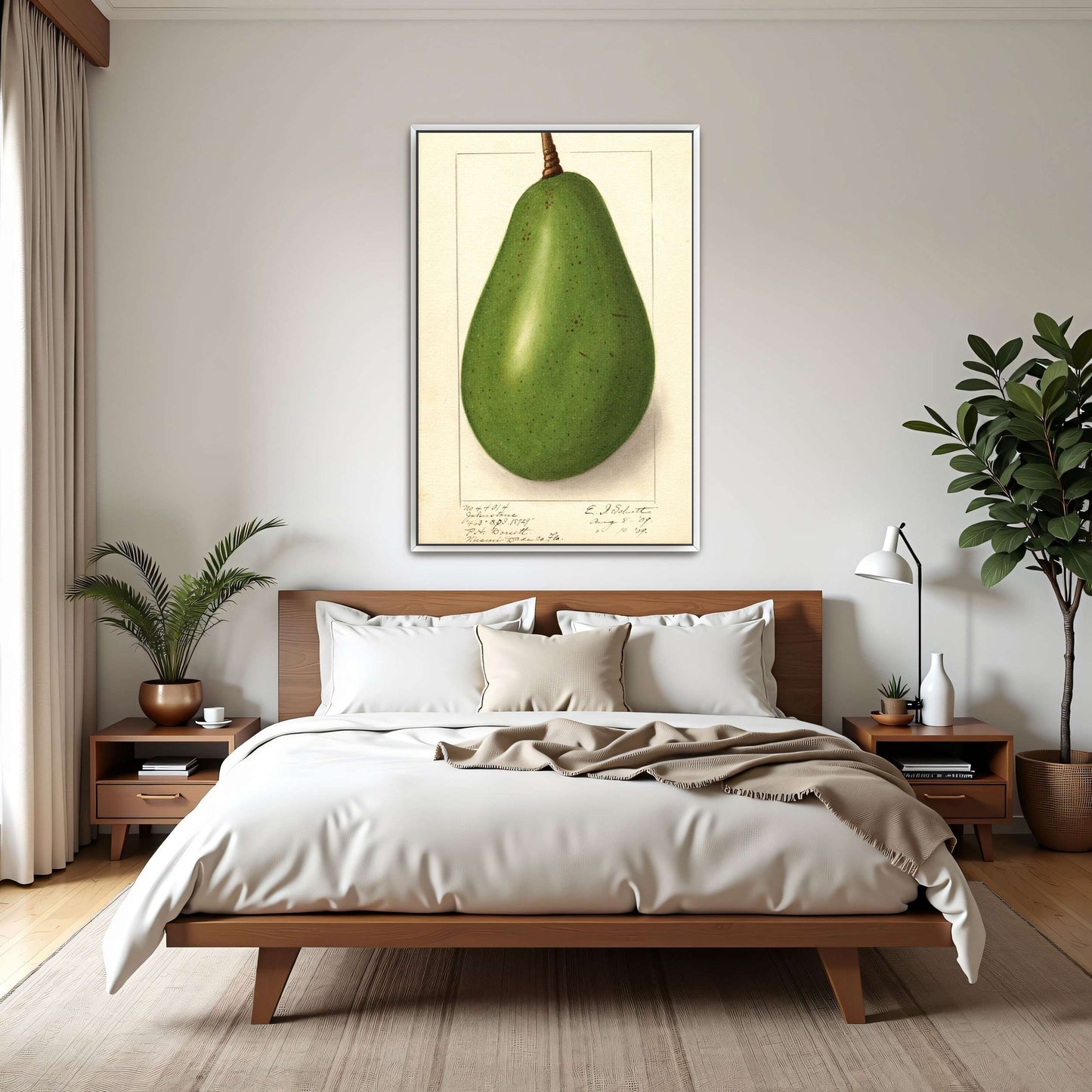 Botanical illustration of avocado by Ellen Isham Schutt