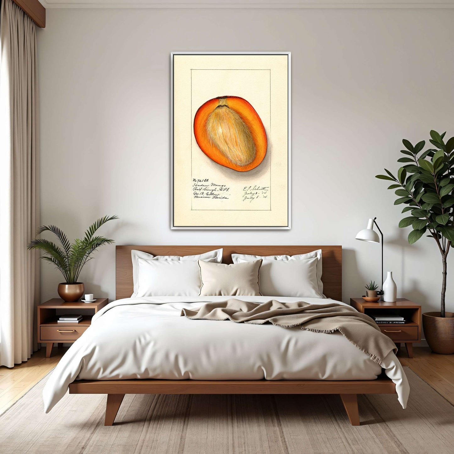 Haden Mango cross-section by Ellen Isham Schutt