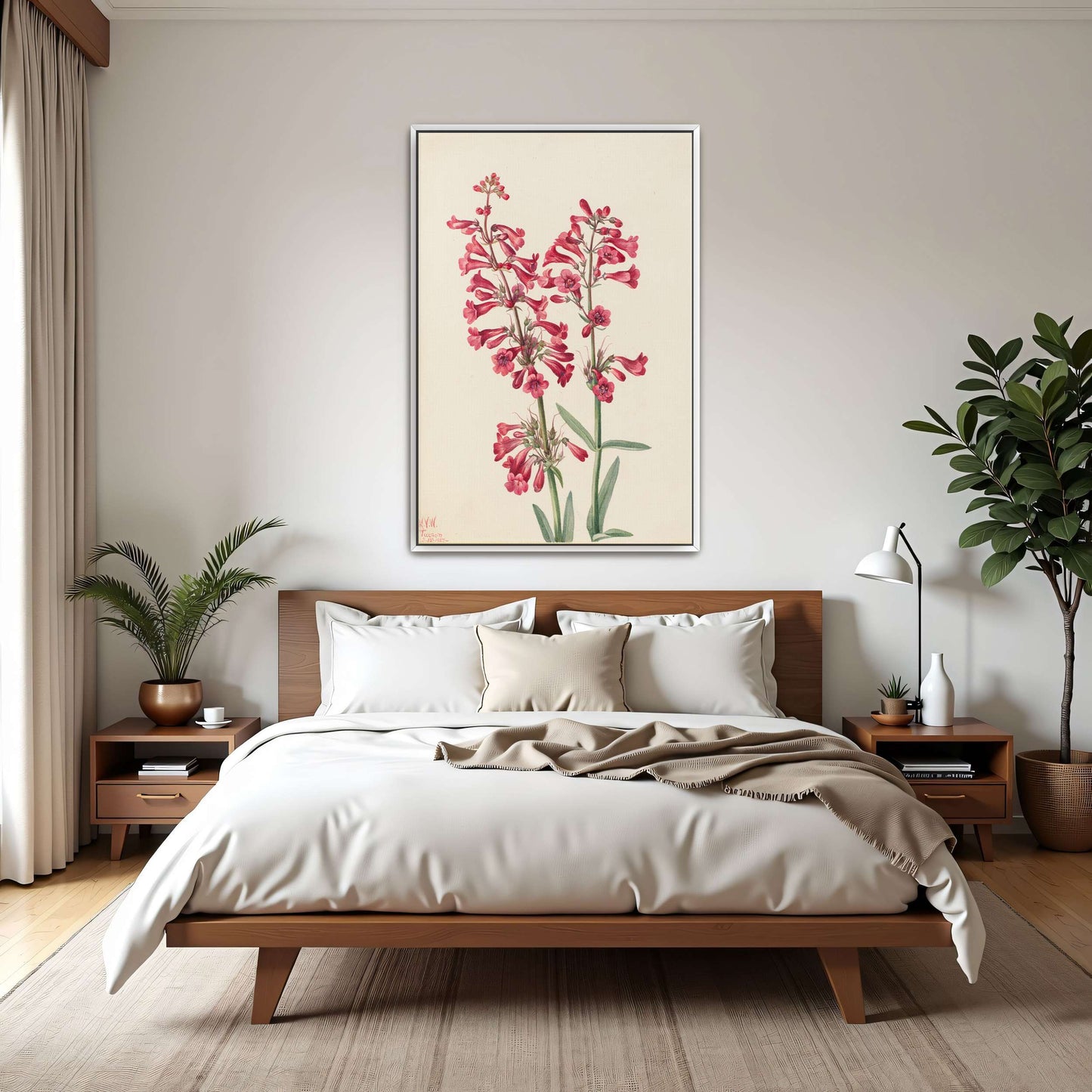 Pink wildflowers botanical art by Mary Vaux Walcott