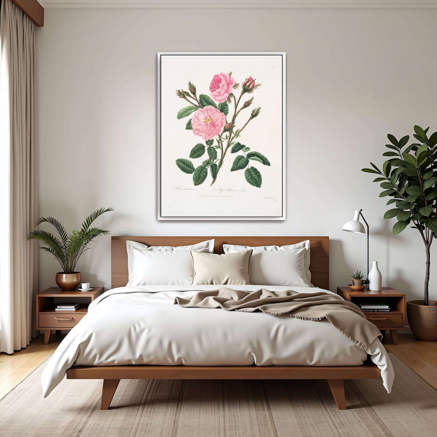 Pink rose botanical illustration by Mary Lawrance