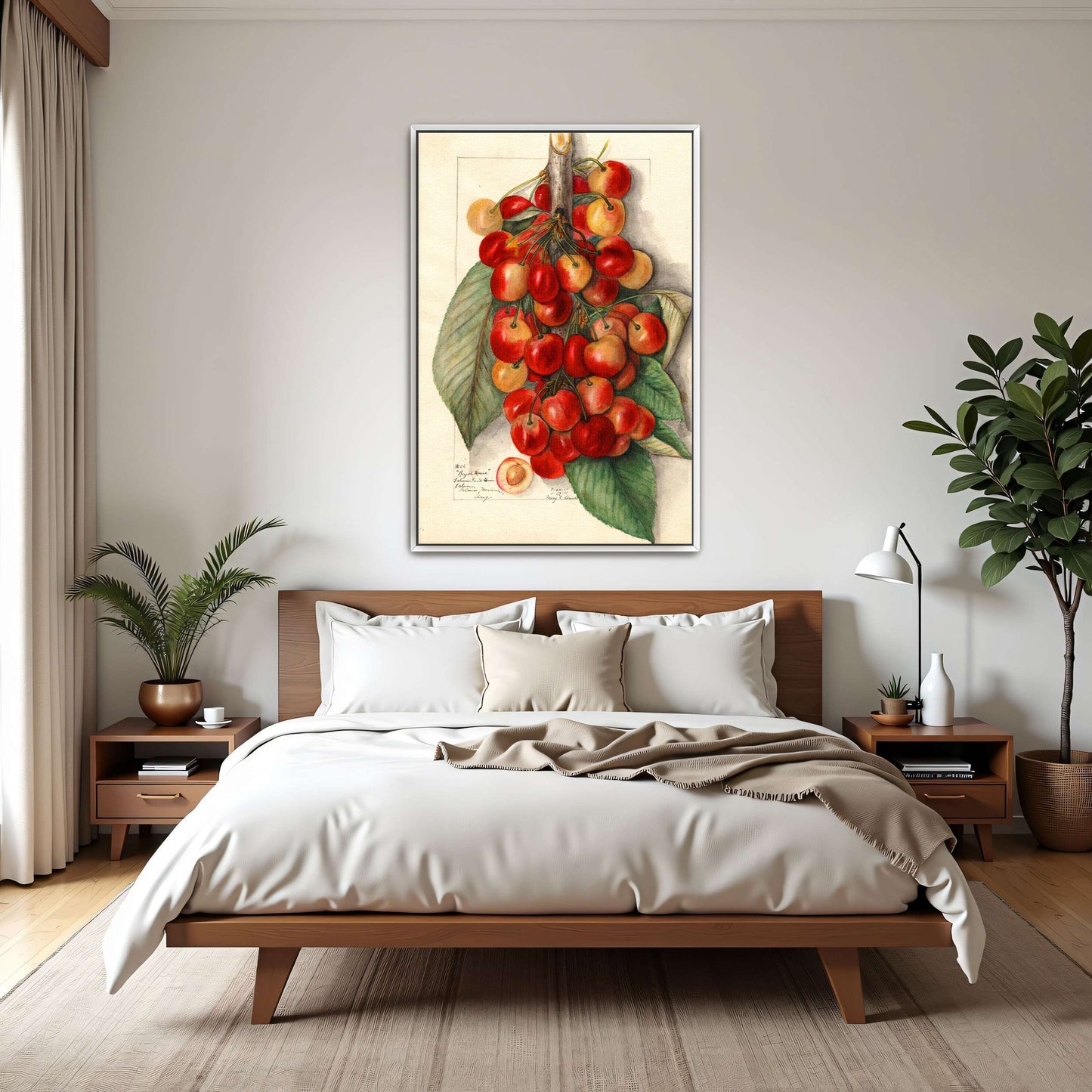 Watercolor painting of cherries by Mary Daisy Arnold