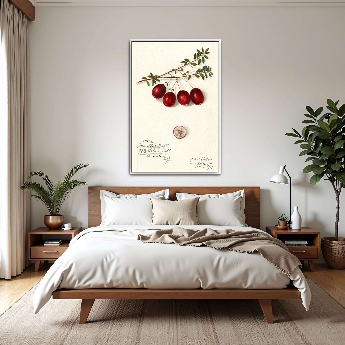 Cranberries on branch by Amanda Almira Newton
