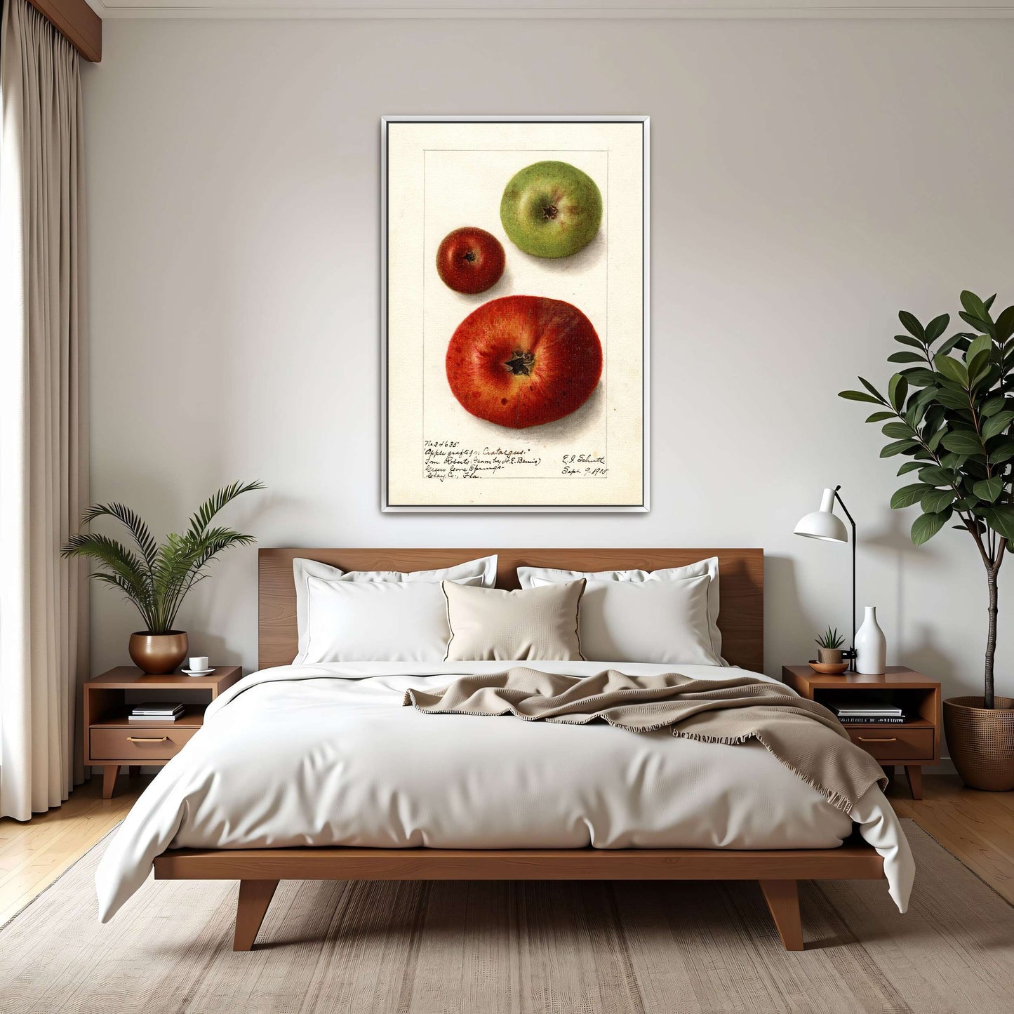 Three apples watercolor painting by Ellen Isham Schutt