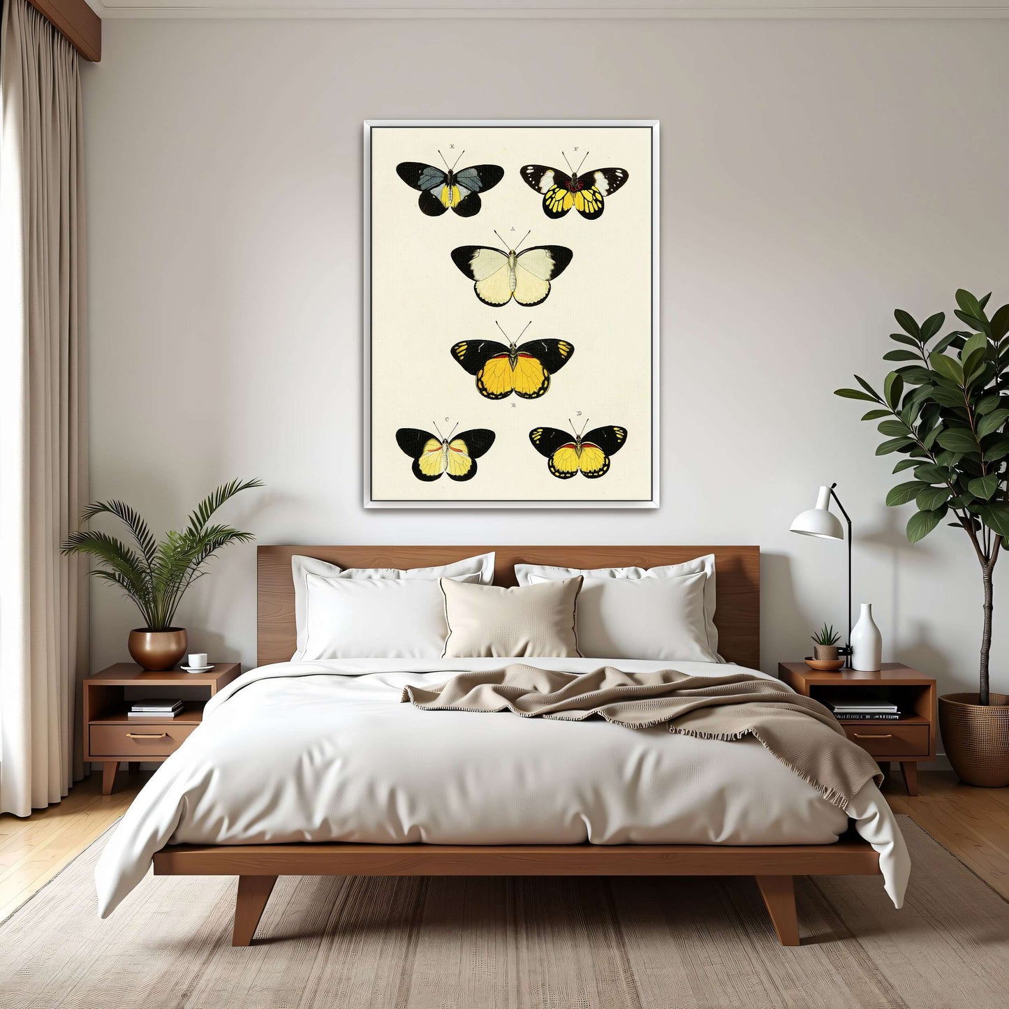 Five butterflies on white background by Pieter Cramer