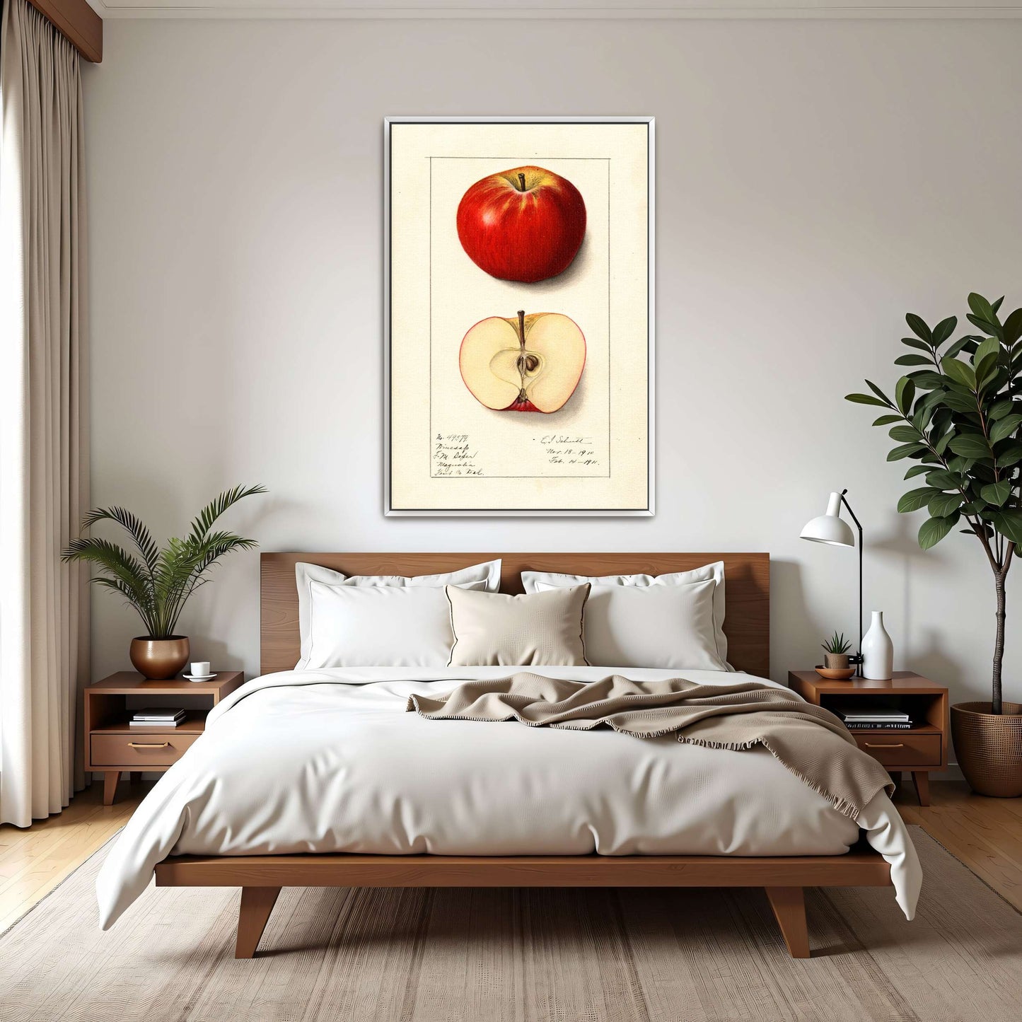 Winesap apple illustration by Ellen Isham Schutt