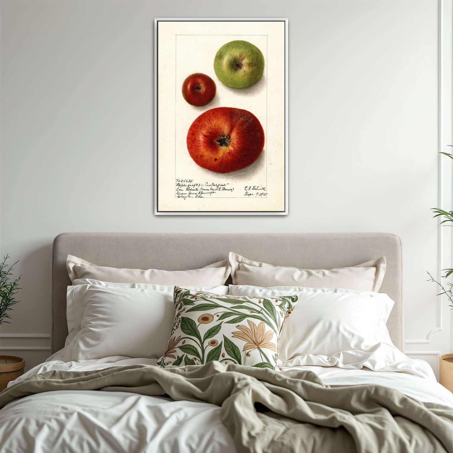Three apples watercolor painting by Ellen Isham Schutt