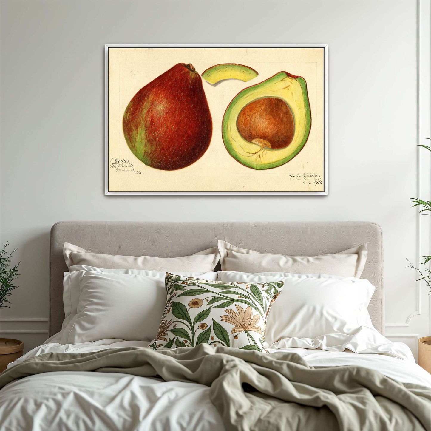 Avocado and pear watercolor by Amanda Almira Newton