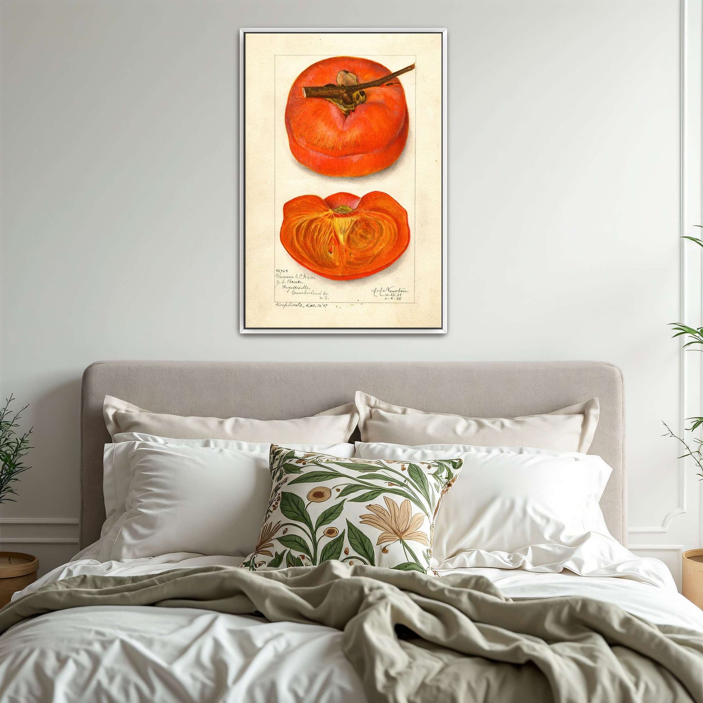 Watercolor painting of persimmon by Amanda Almira Newton