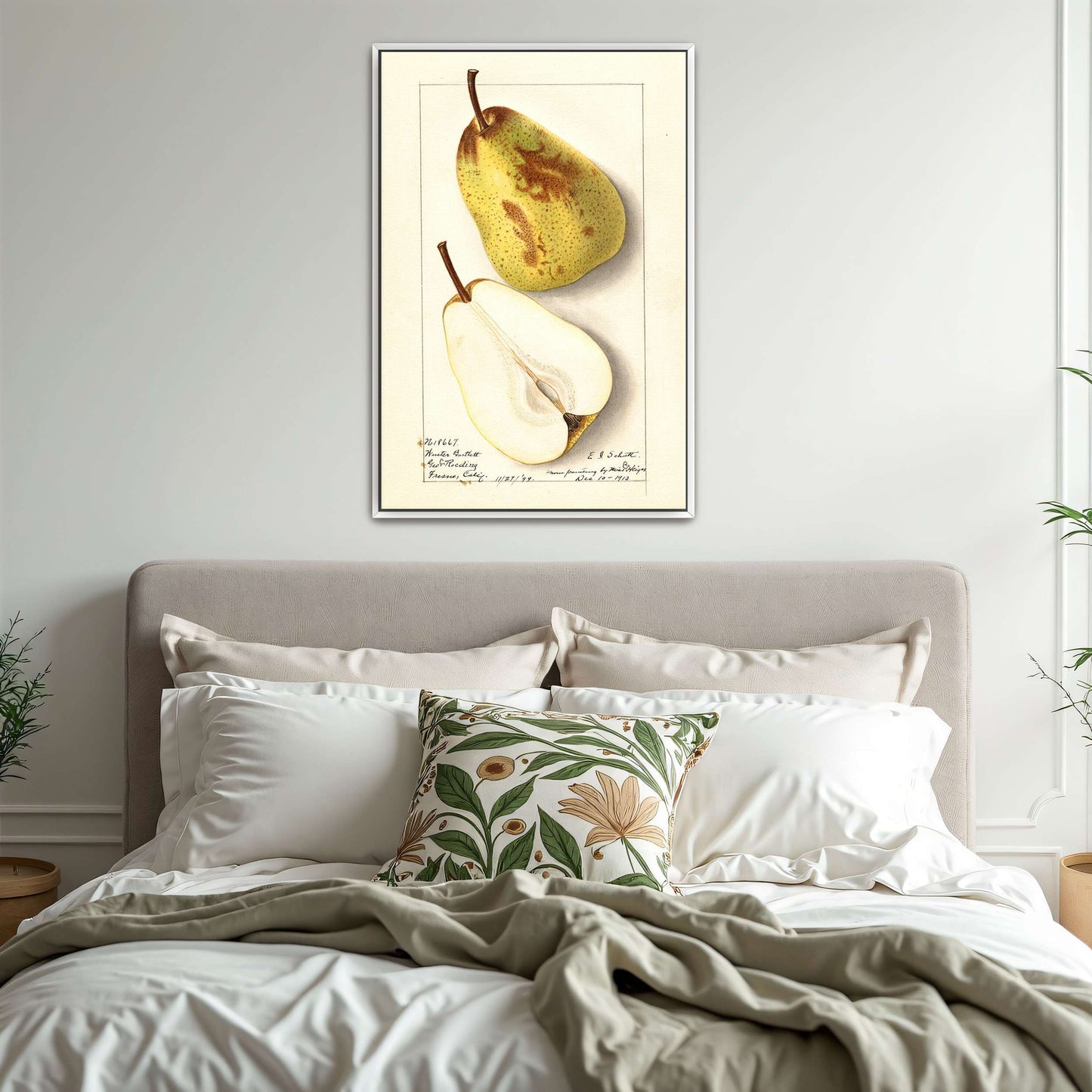 Watercolor pear painting by Ellen Isham Schutt