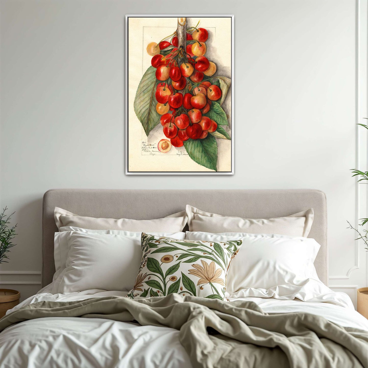 Watercolor painting of cherries by Mary Daisy Arnold