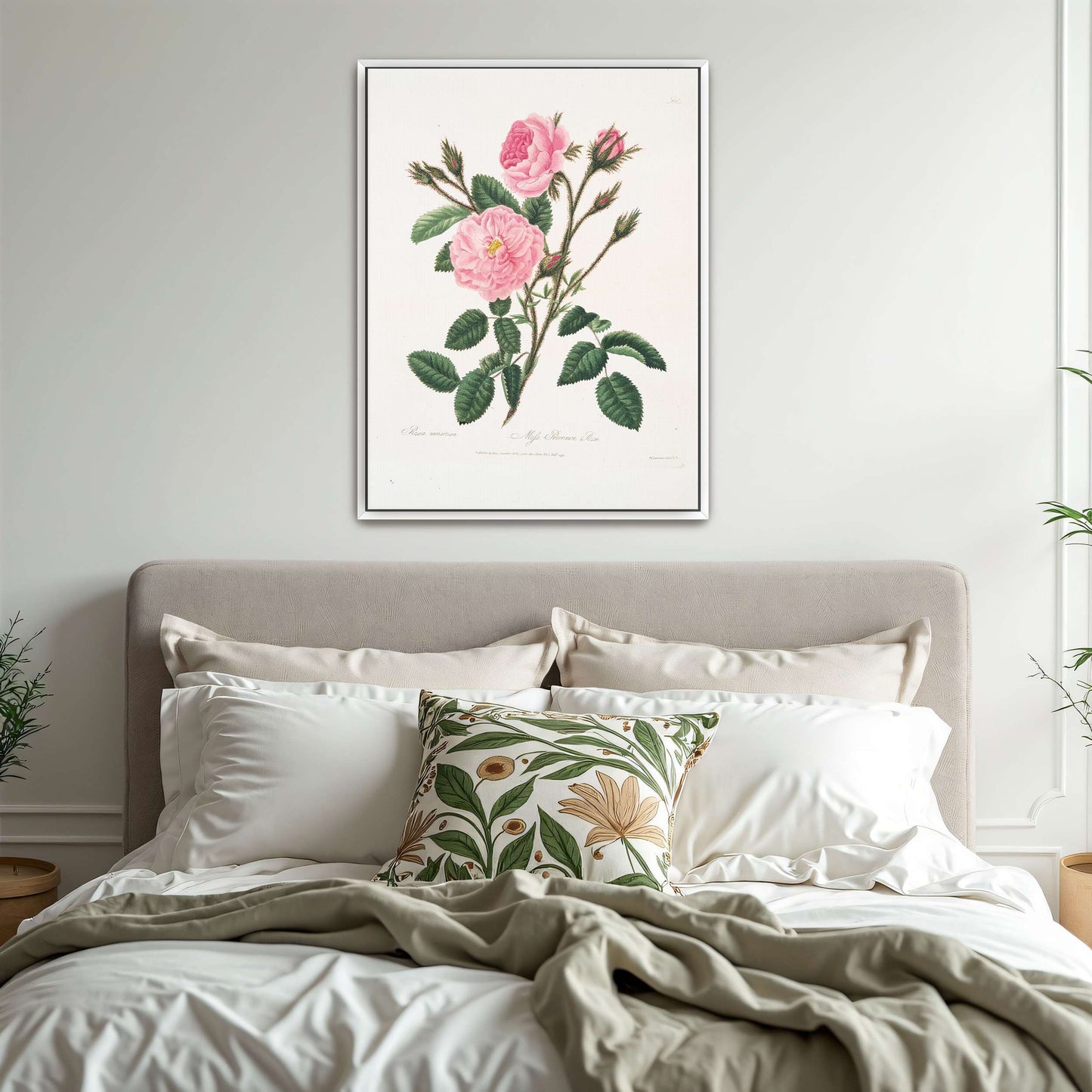 Pink rose botanical illustration by Mary Lawrance