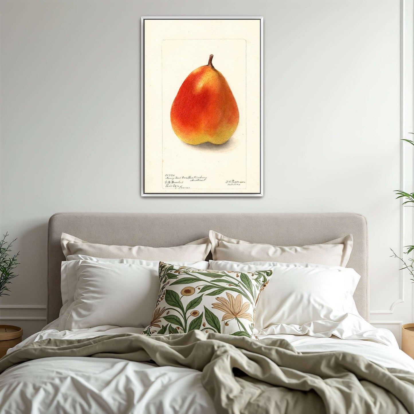 Watercolor painting of a pear by Deborah Griscom Passmore