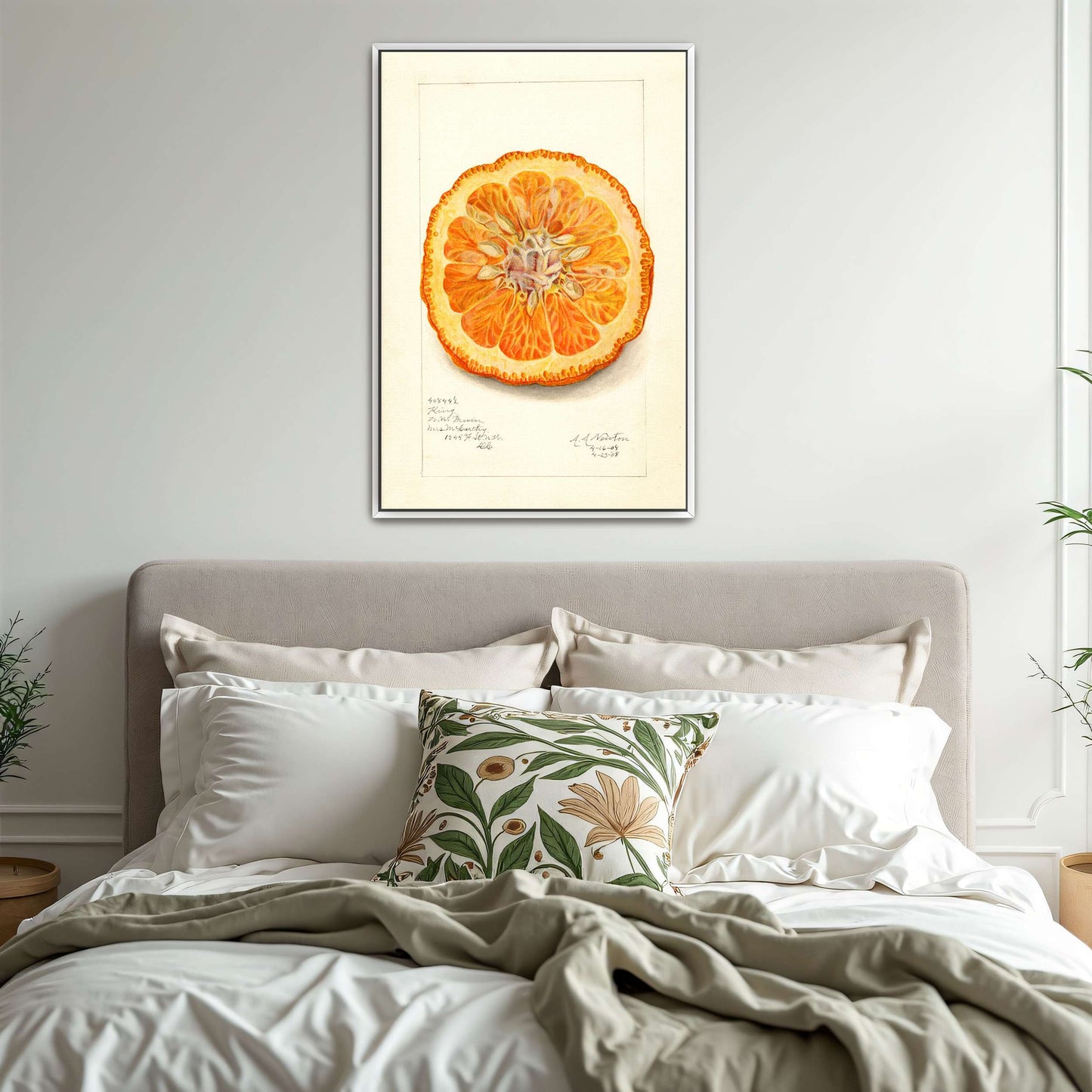 Dried orange slice watercolor by Amanda Almira Newton