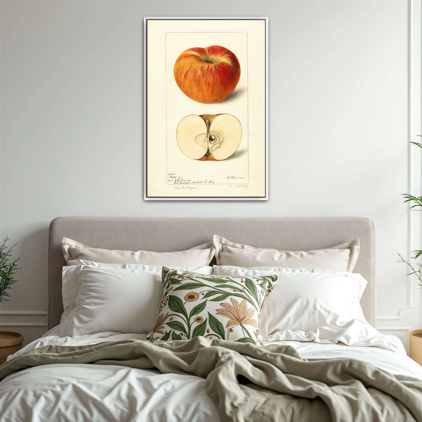 Apple watercolor painting by Deborah Griscom Passmore