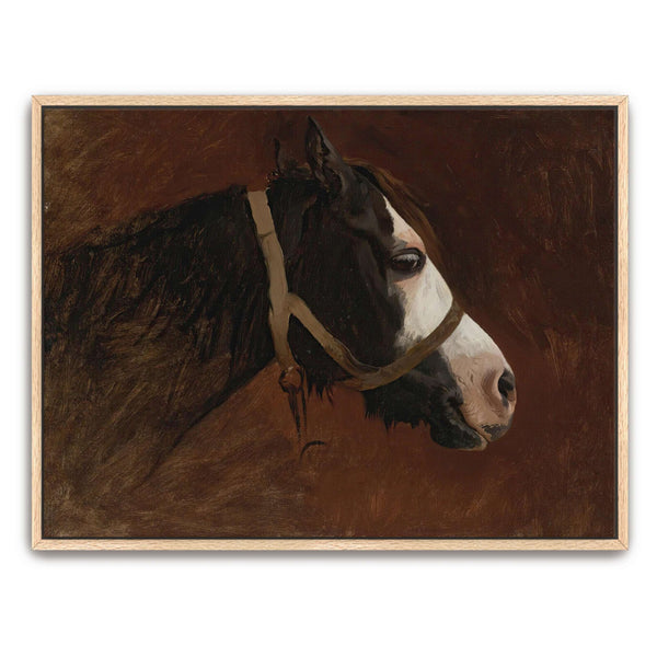 Vintage Animal Art