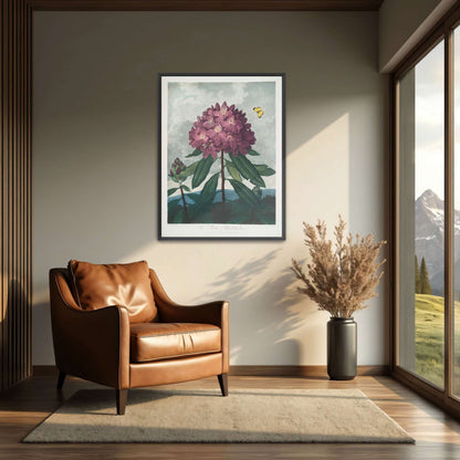Pink Rhododendron with Insects by Robert John Thornton