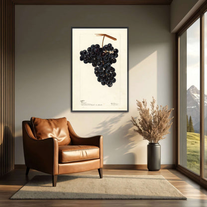 Dark Grapes on Vine by Deborah Griscom Passmore