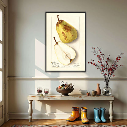 Watercolor pear painting by Ellen Isham Schutt
