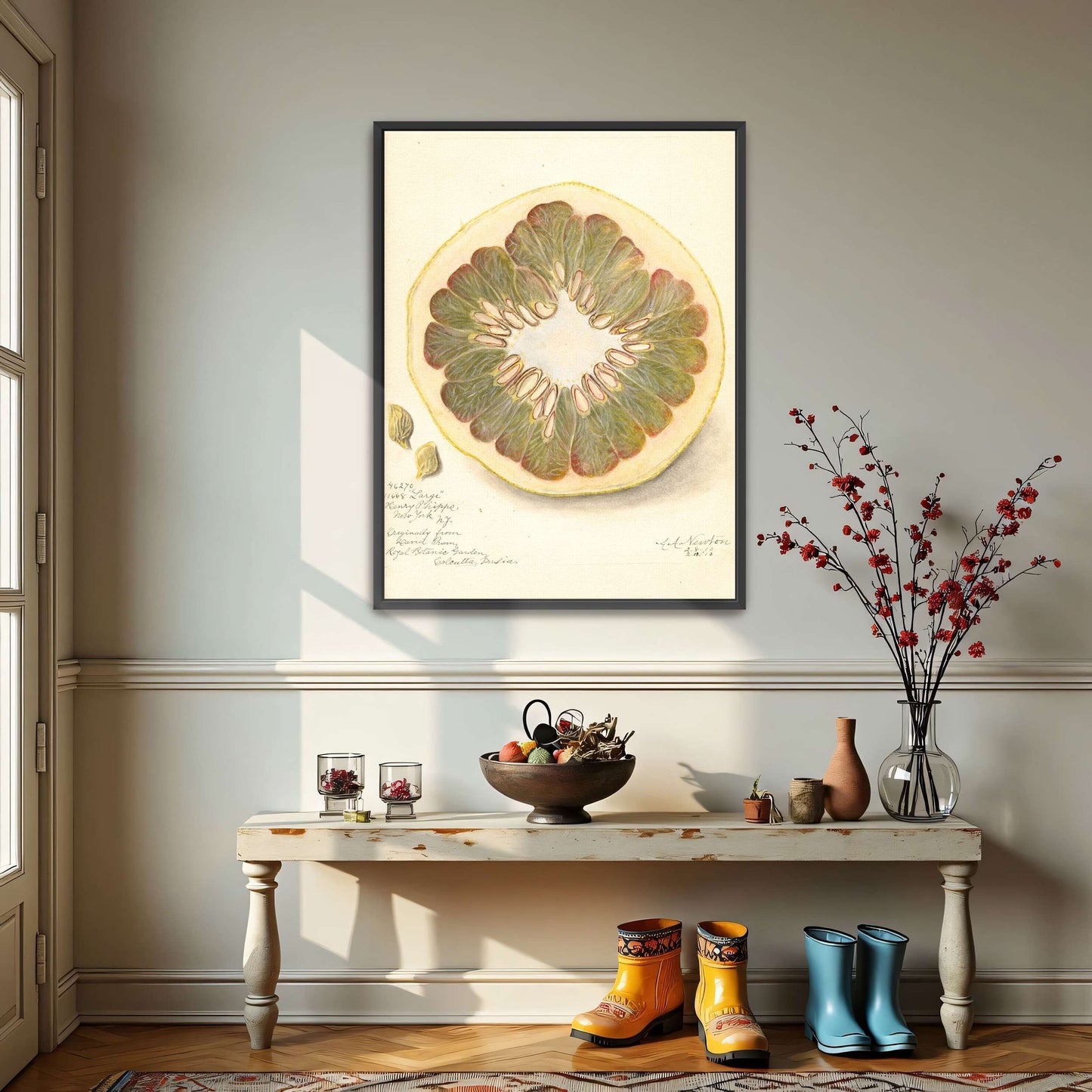 Pomelo cross-section watercolor by Amanda Almira Newton