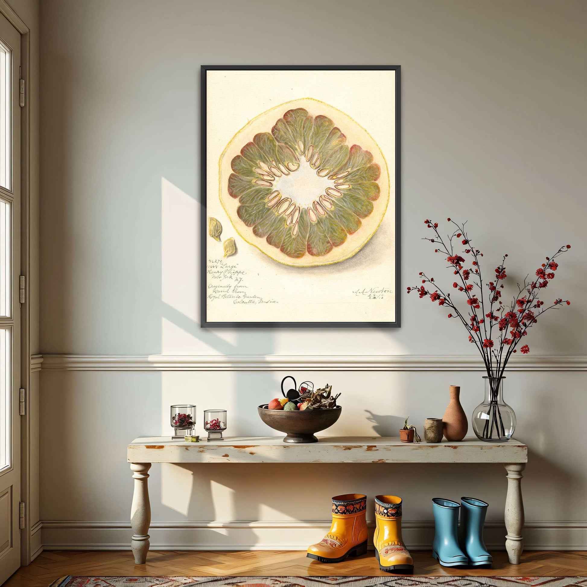 Pomelo cross-section watercolor by Amanda Almira Newton