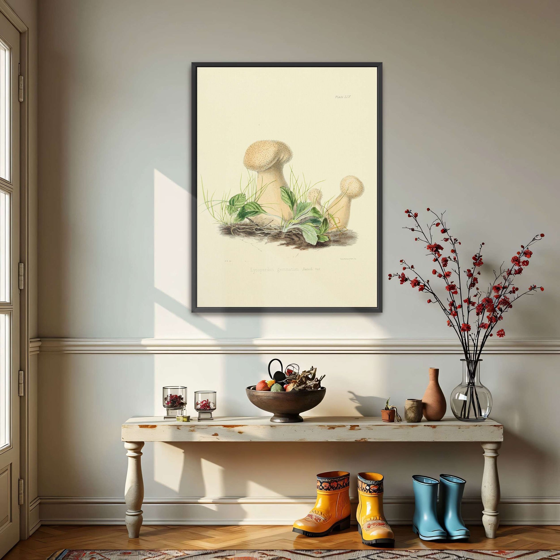 Mushrooms in grass illustration by Anna Maria Hussey