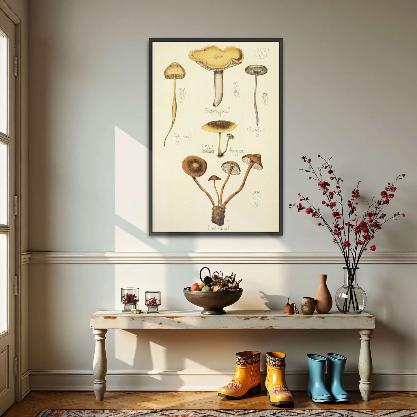 Mushroom illustration plate by Guillaume Sicard