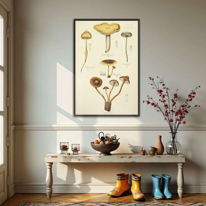 Mushroom illustration plate by Guillaume Sicard