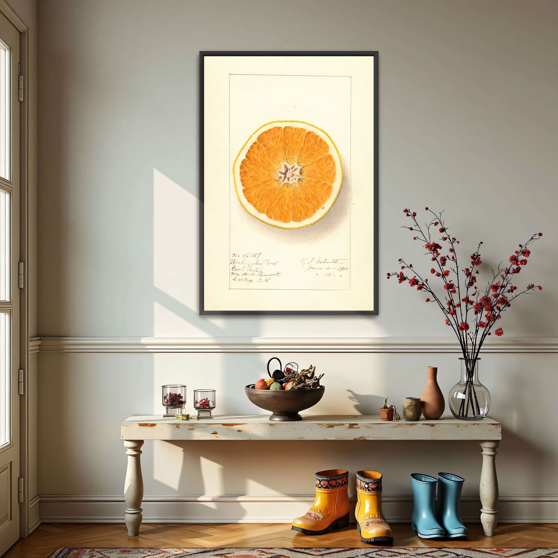 Orange cross-section watercolor by Ellen Isham Schutt