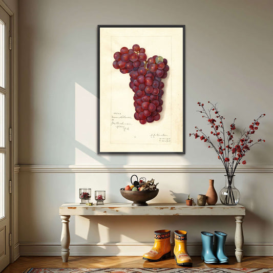 Watercolor painting of grapes by Amanda Almira Newton