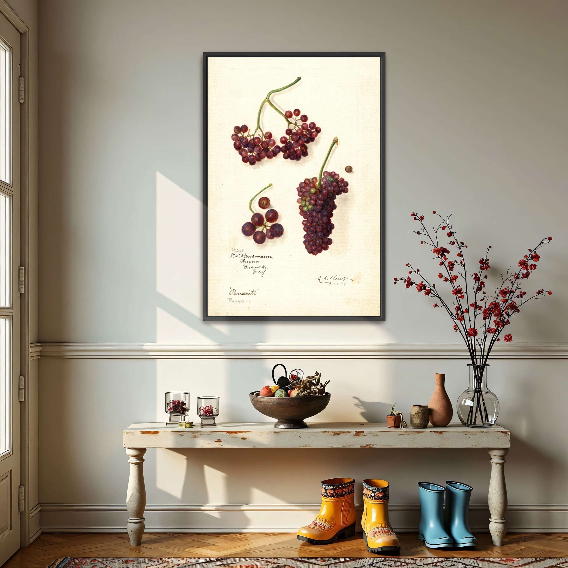 Grape and berry watercolor by Amanda Almira Newton