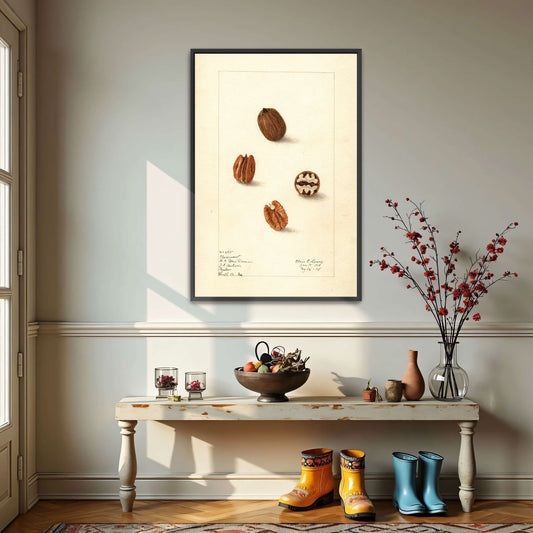 Pecans watercolor painting by Elsie E. Lower