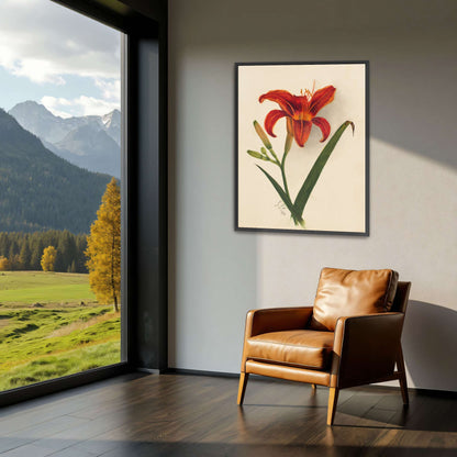 Orange daylily watercolor painting by Mary Vaux Walcott