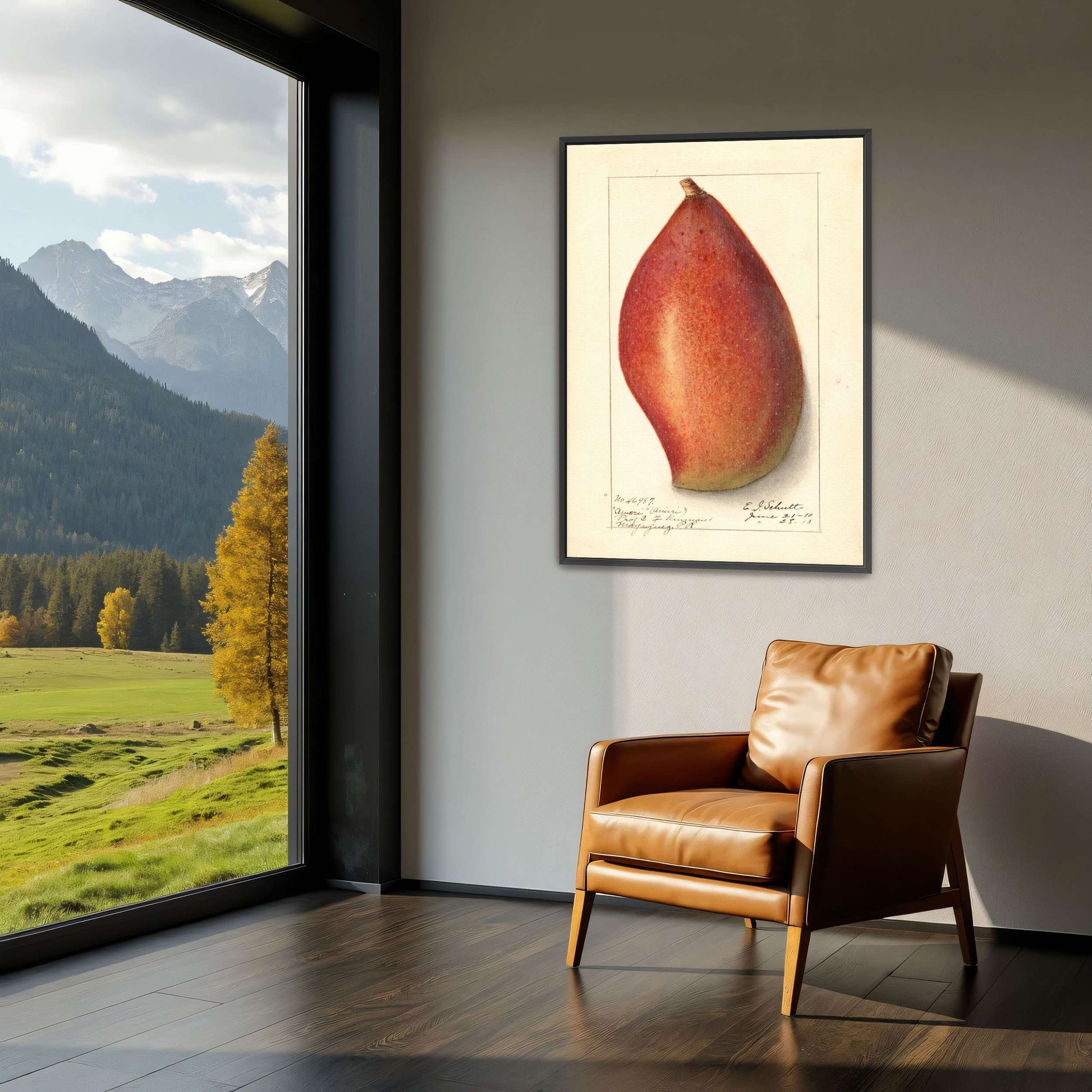 Red mango botanical illustration by Ellen Isham Schutt