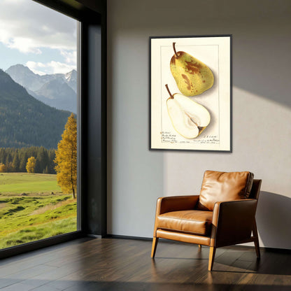Watercolor pear painting by Ellen Isham Schutt
