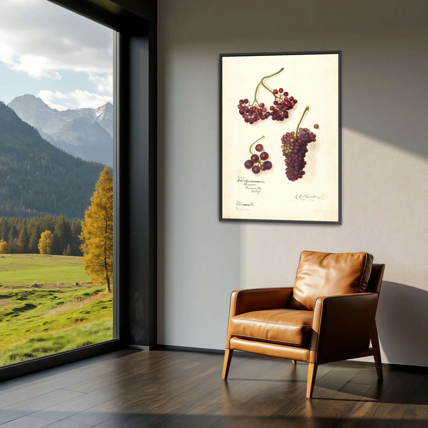 Grape and berry watercolor by Amanda Almira Newton