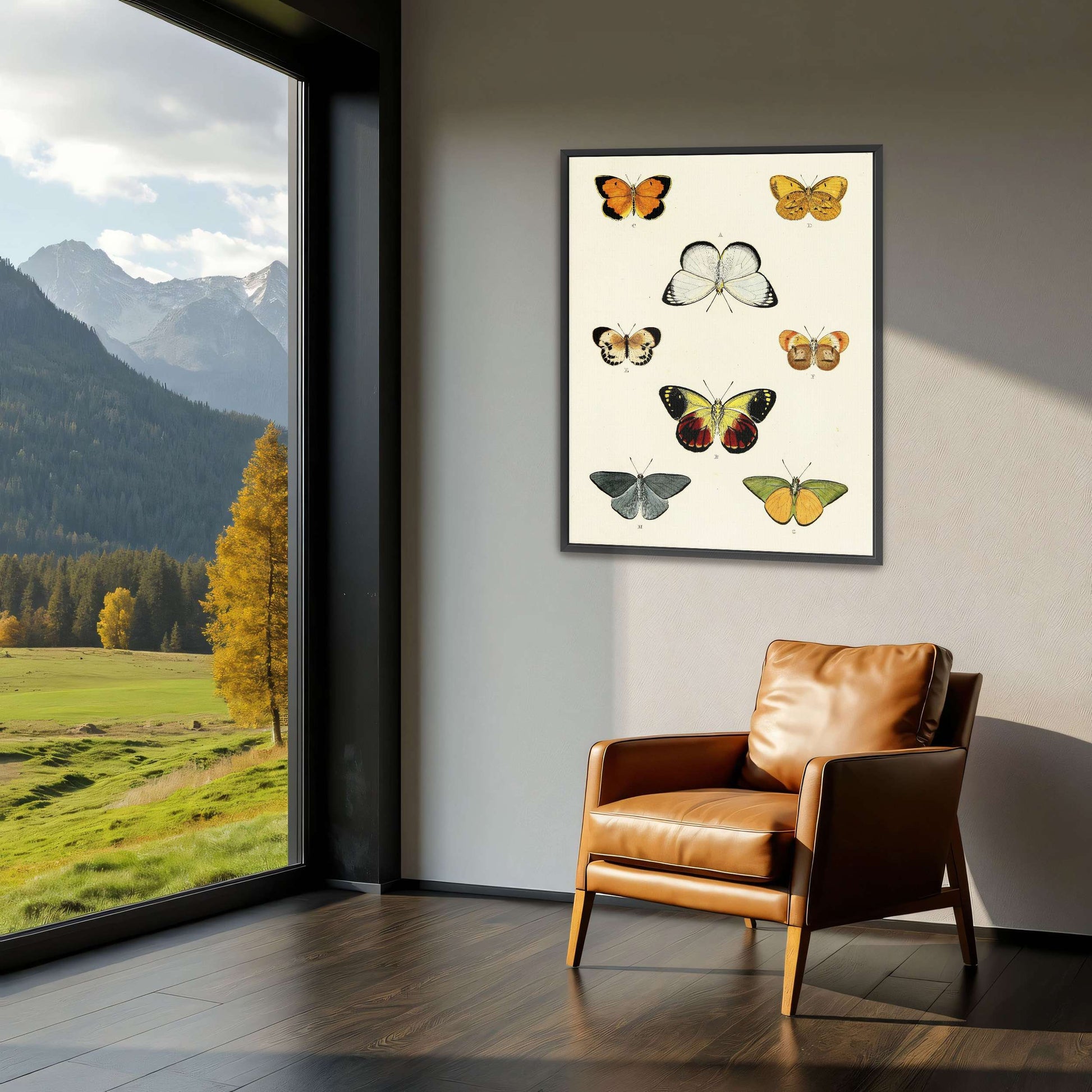 Collection of butterflies on a white page by Pieter Cramer