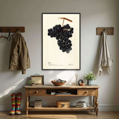 Dark Grapes on Vine by Deborah Griscom Passmore