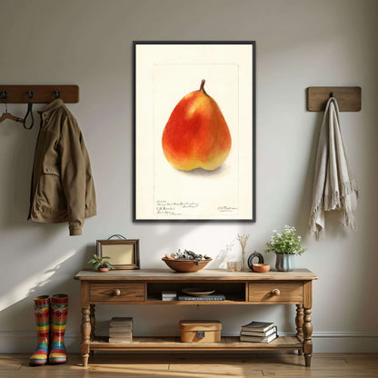 Watercolor painting of a pear by Deborah Griscom Passmore