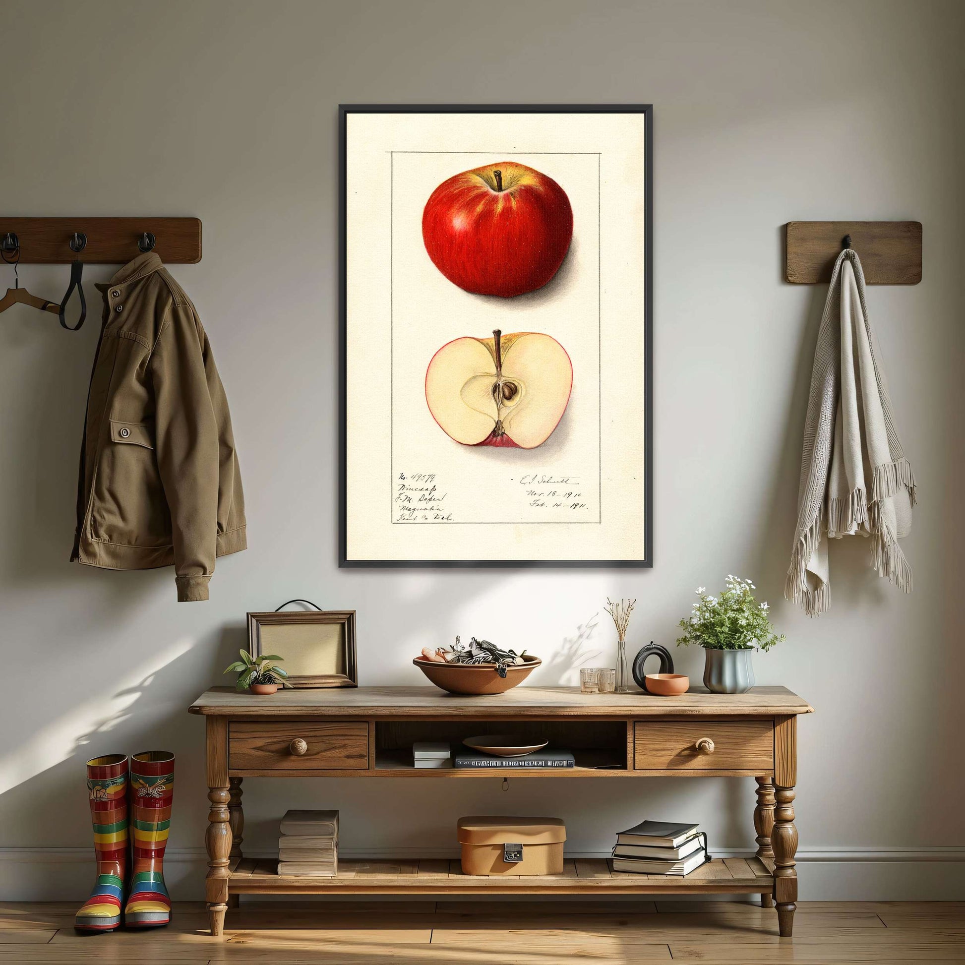 Winesap apple illustration by Ellen Isham Schutt