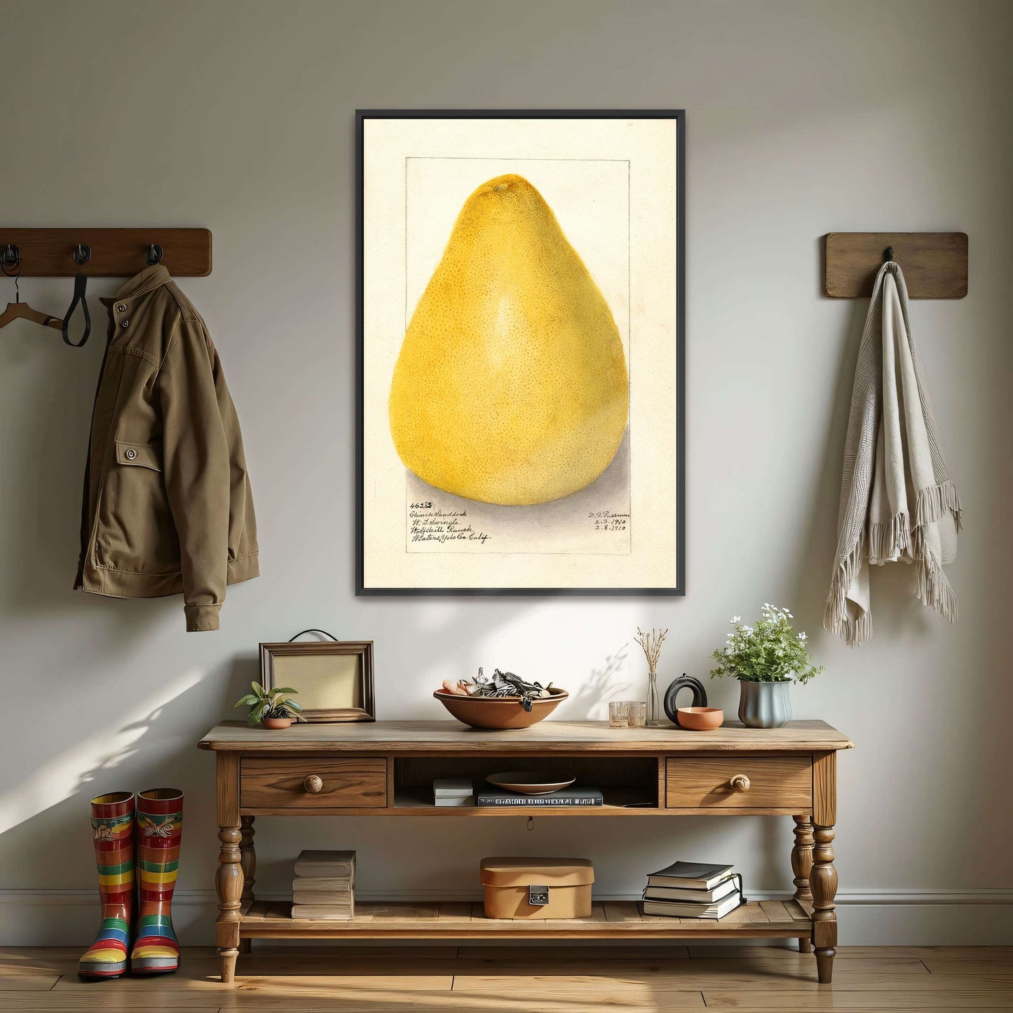 Watercolor of a pomelo by Amanda Almira Newton