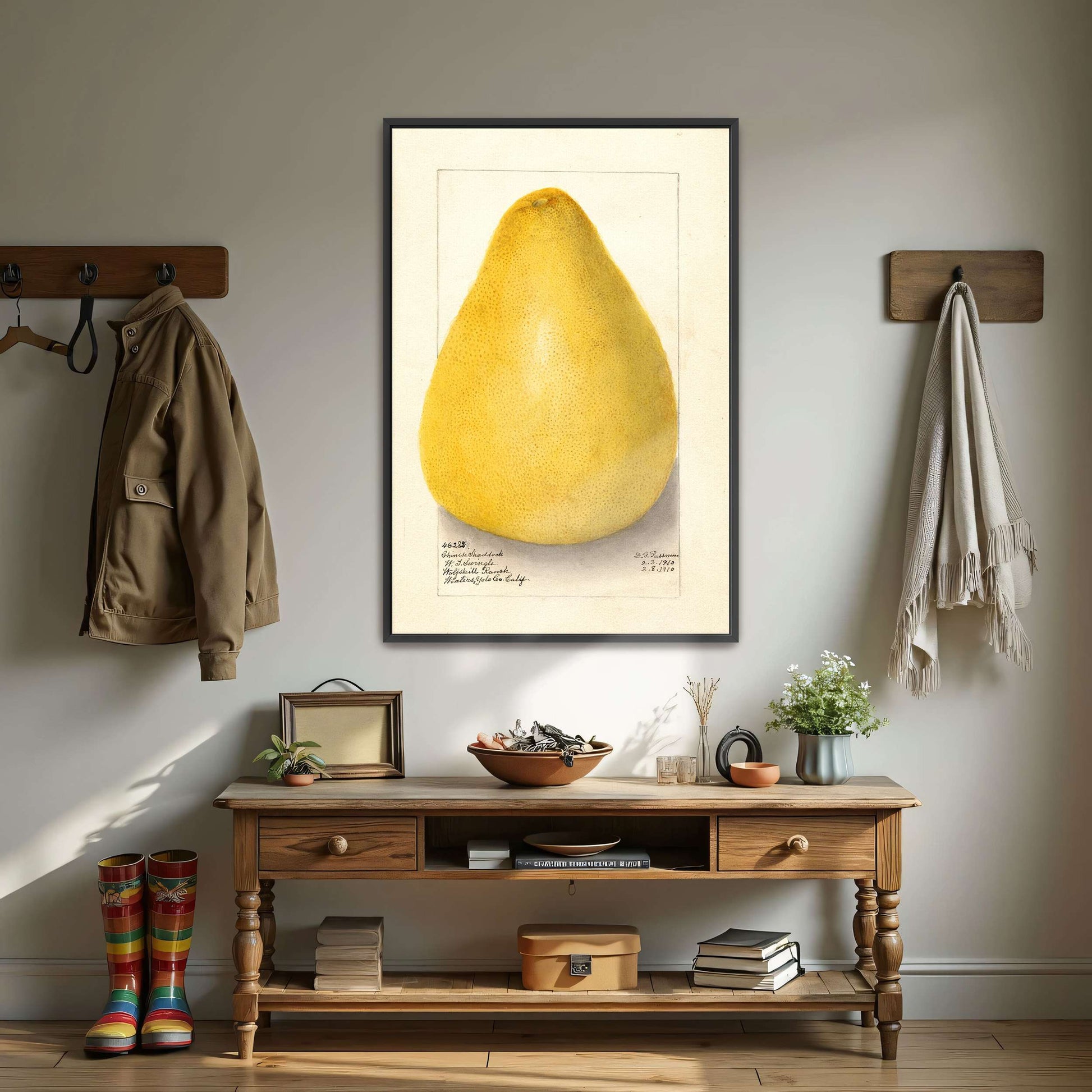 Watercolor of a pomelo by Amanda Almira Newton